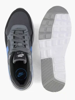 Nike Sneakers-Grijze Air Max